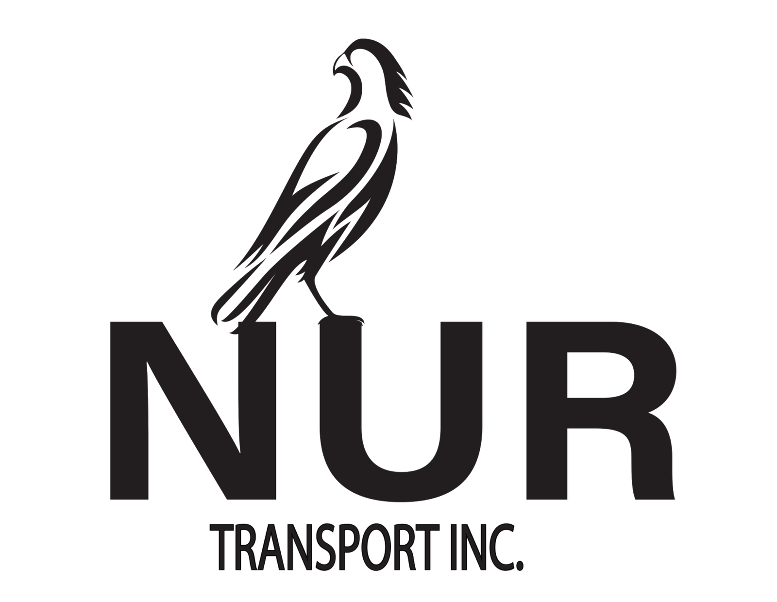 Nur Transport